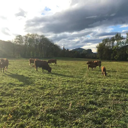 Апартаменты Apparemment Spacieux Massat