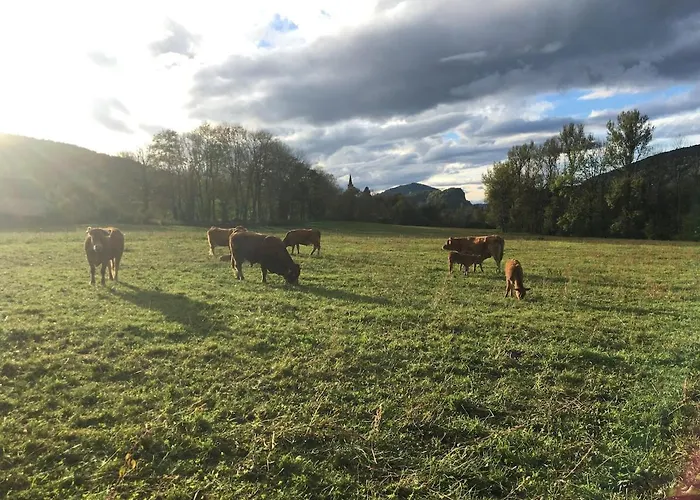 Апартаменты Apparemment Spacieux Massat